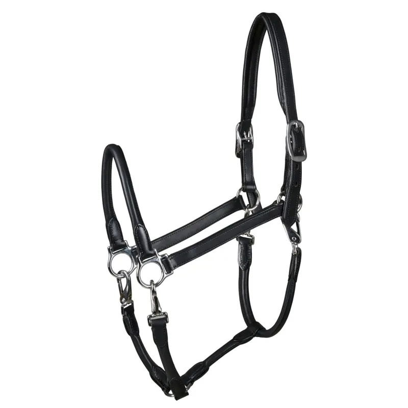 Catago Tack Up Leather Grooming Halter - Black