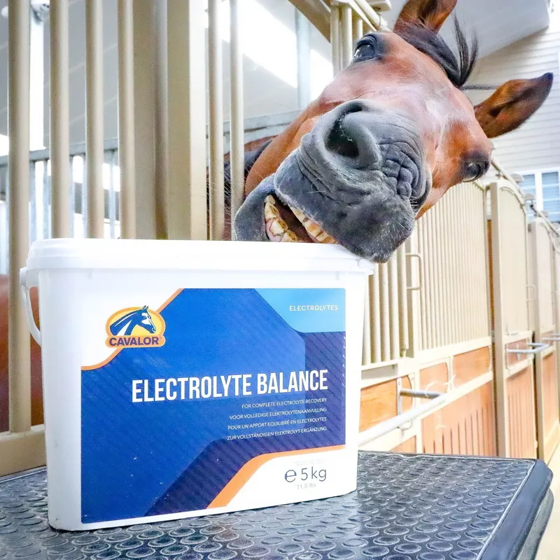 Cavalor Electrolytes Balance-1