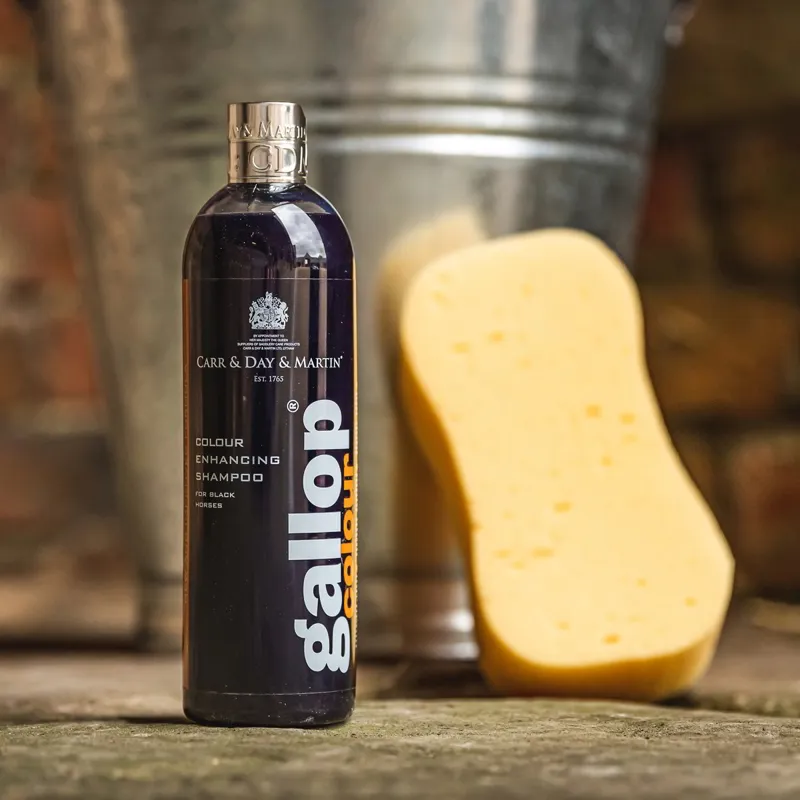 Carr and Day and Martin Gallop Color Enhancing Shampoo - Black-1