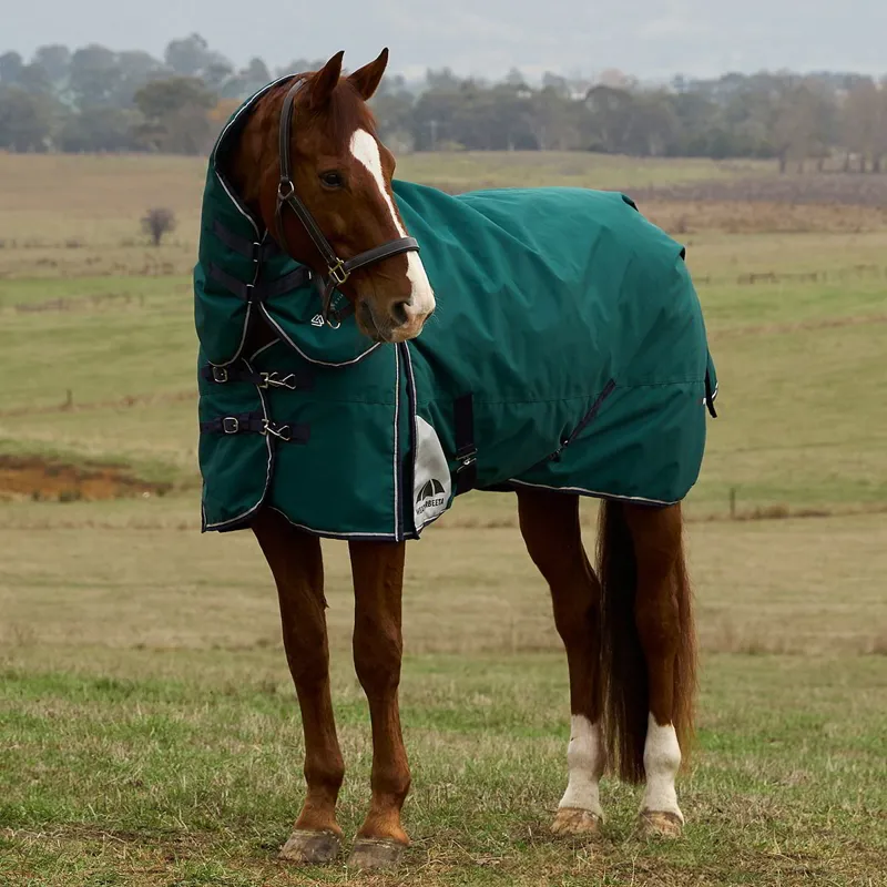 WeatherBeeta ComFiTec Plus Dynamic 220g Detach-A-Neck Turnout Blanket - Forest-11