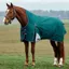 WeatherBeeta ComFiTec Plus Dynamic 100g High Neck Turnout - Green