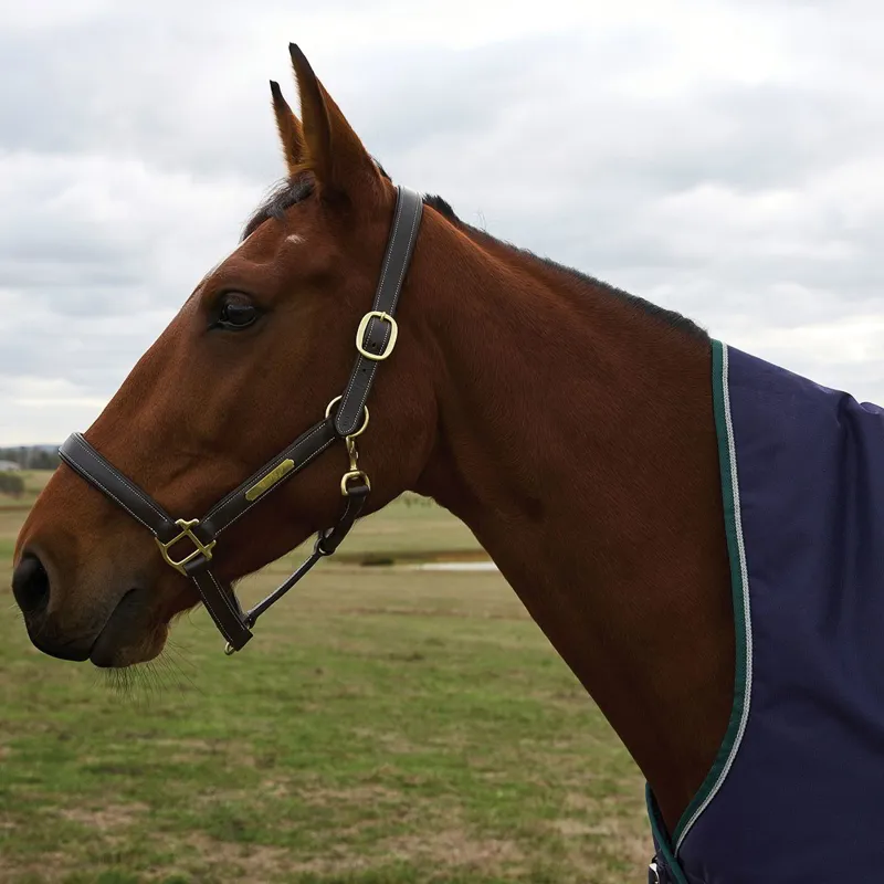 WeatherBeeta ComFiTec Plus Dynamic 220g High Neck Turnout Blanket - Navy-7