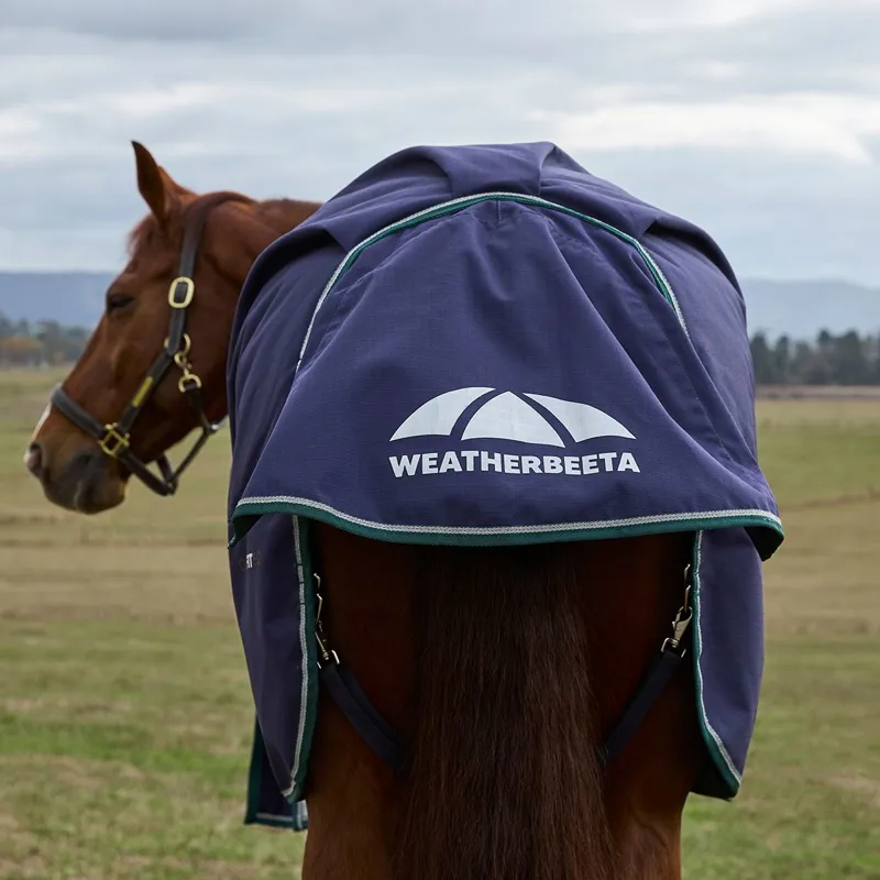 WeatherBeeta ComFiTec Plus Dynamic 0g Standard Neck Turnout Blanket --6