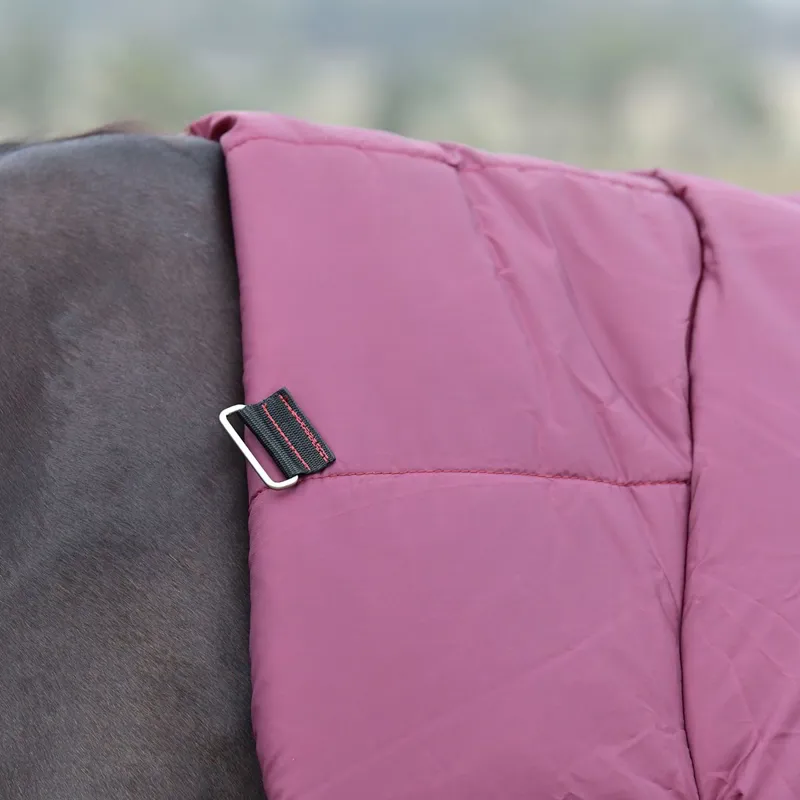 WeatherBeeta ComFiTec Essential 360g Combo Turnout Blanket Burgundy-7