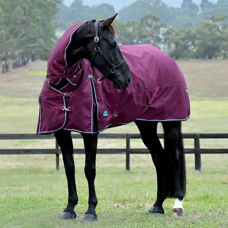 WeatherBeeta ComFiTec Essential 360g Combo Turnout Blanket Burgundy-3