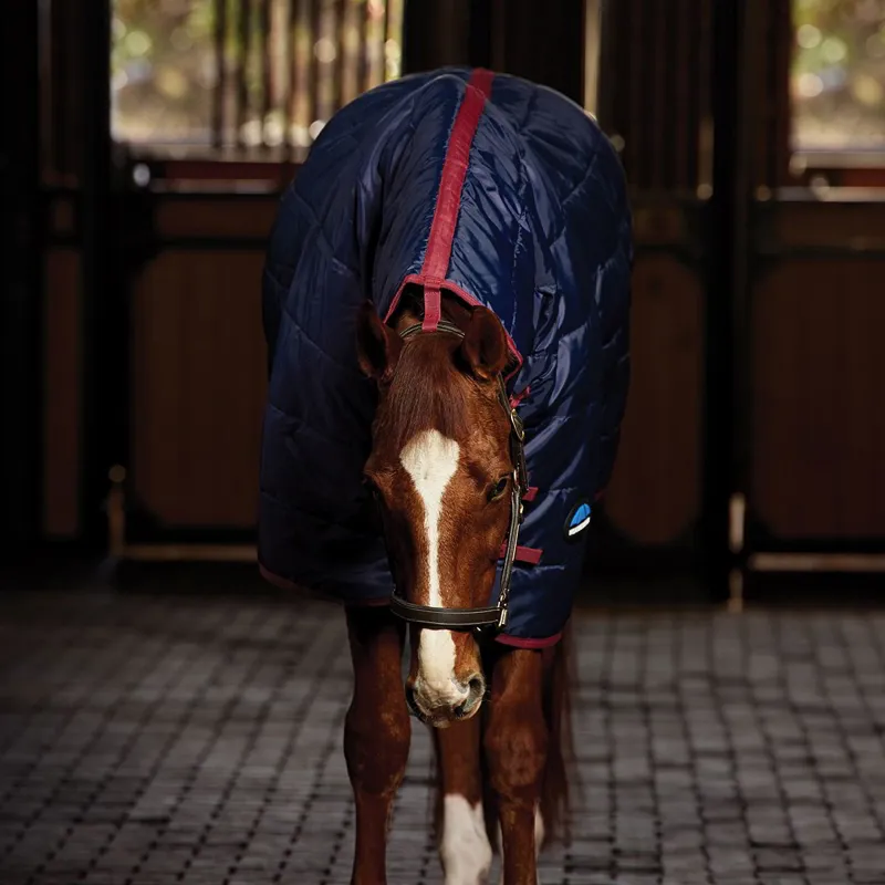WeatherBeeta ComFiTec 210D 100g Channel Quilt Stable Blanket - Navy-4
