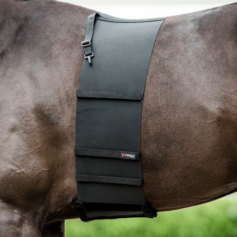 Catago Body/Spur Shield - Black