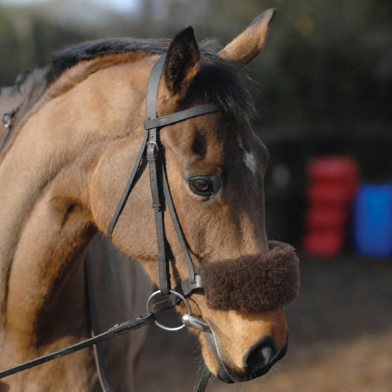 NuuMed Anti-Rub Wool Noseband Cover - Brown