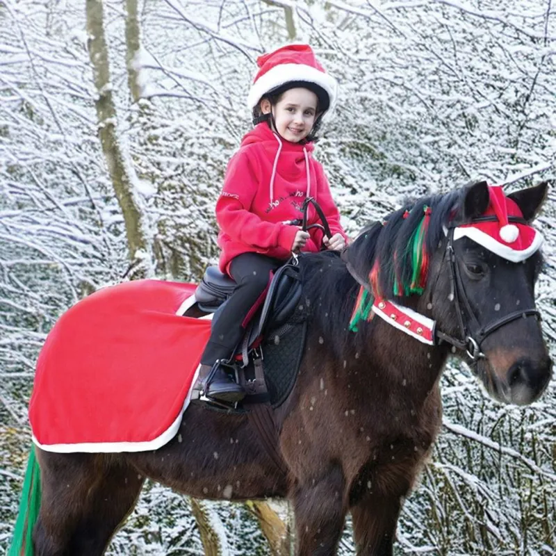 Equetech Santa Festive Horse Quarter Sheet in Red-1
