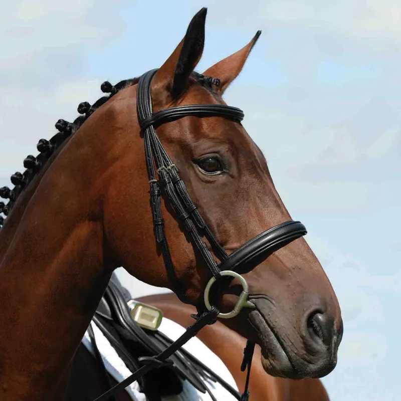 Collegiate Syntovia+Padded Raised Cavesson Bridle - Black