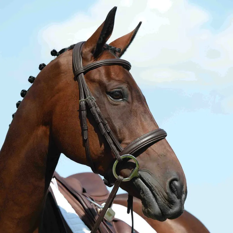 Collegiate Syntovia+ Padded Raised Cavesson Bridle with Reins - Brown-1