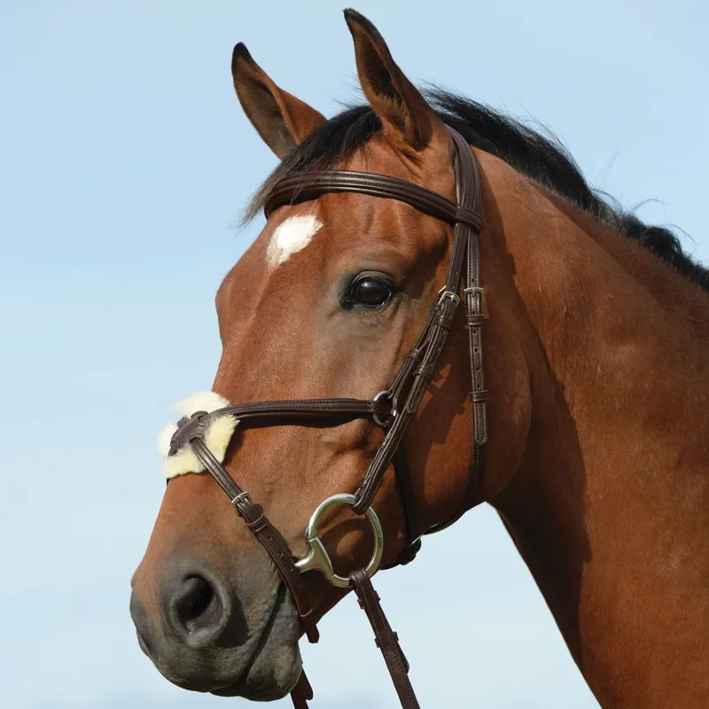 Collegiate Syntovia+ Padded Raised Figure 8 Bridle with Reins- Brown