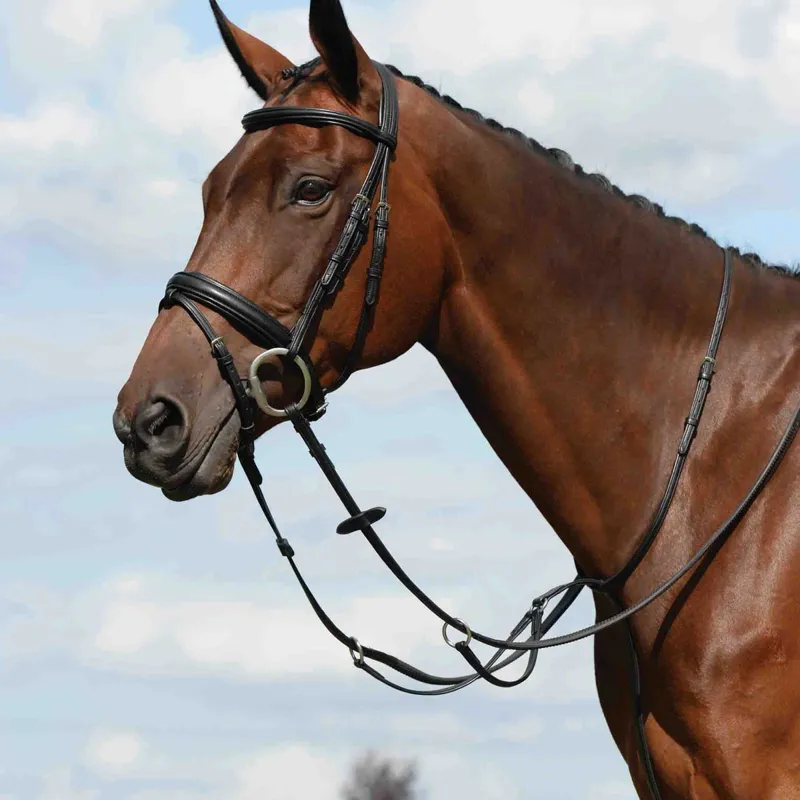 Collegiate Syntovia+ Plain Flat Running Martingale - Black-1