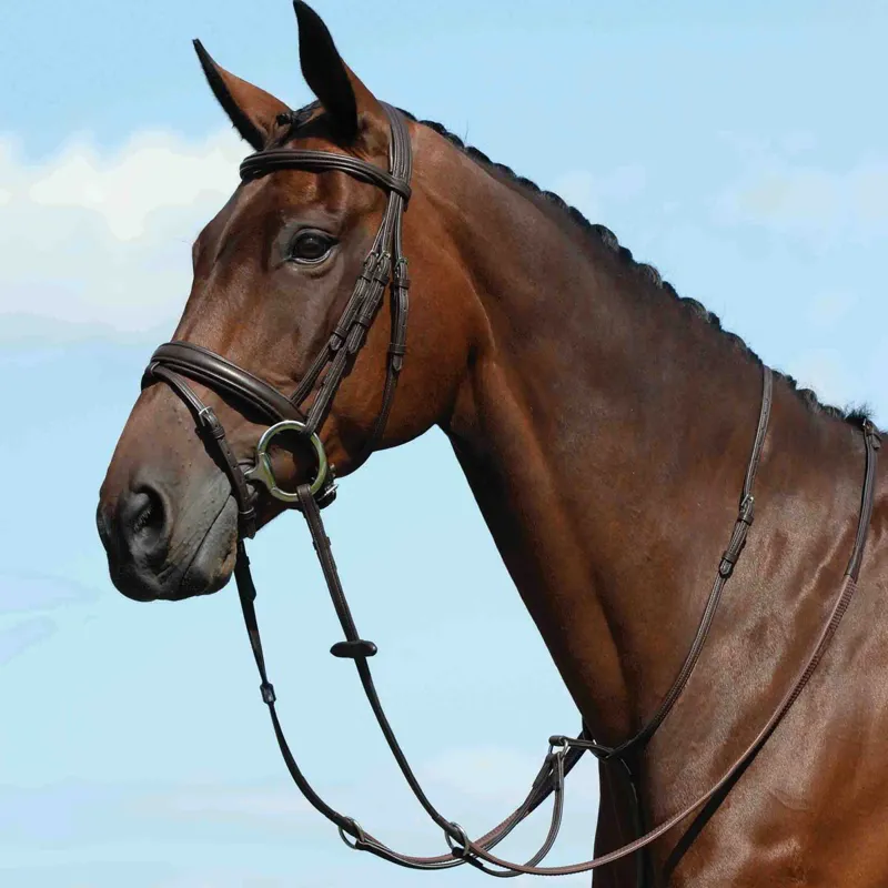 Collegiate Syntovia+ Plain Flat Running Martingale - Brown-1