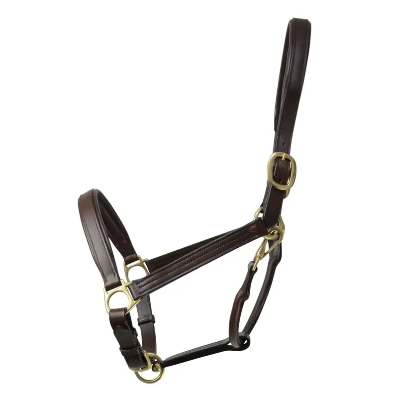 Coldstream Leather Padded Halter - Brown