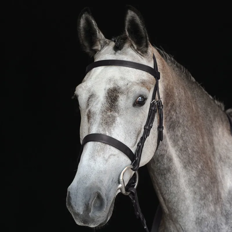 Collegiate Hunt Cavesson Bridle with Reins - Black-1