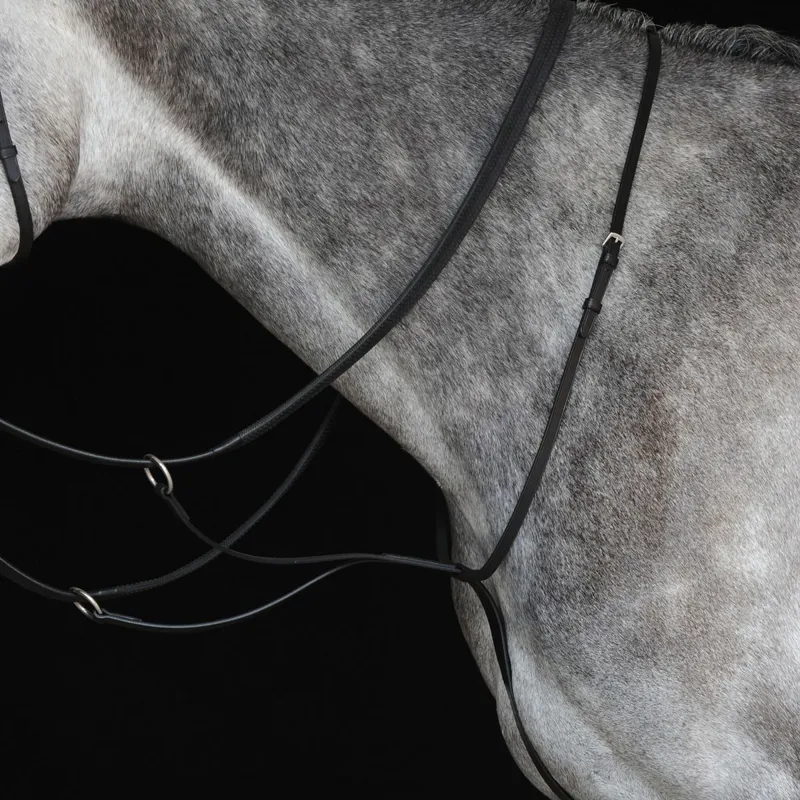 Collegiate IV Running Martingale - Black-1