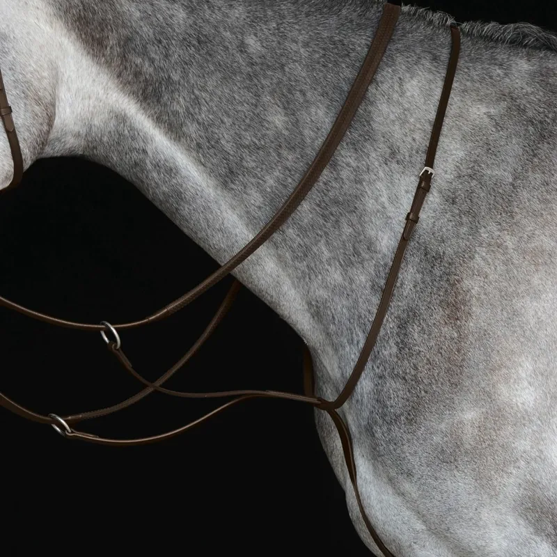 Collegiate IV Running Martingale - Brown-1