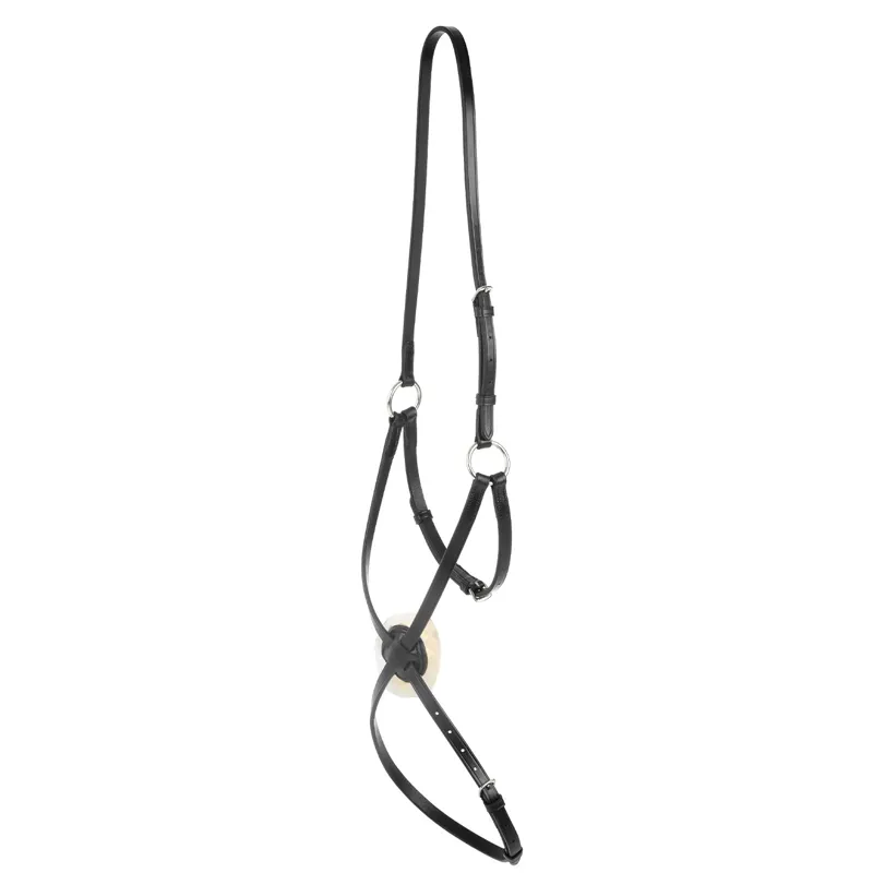 Collegiate IV Grackle Noseband - Black