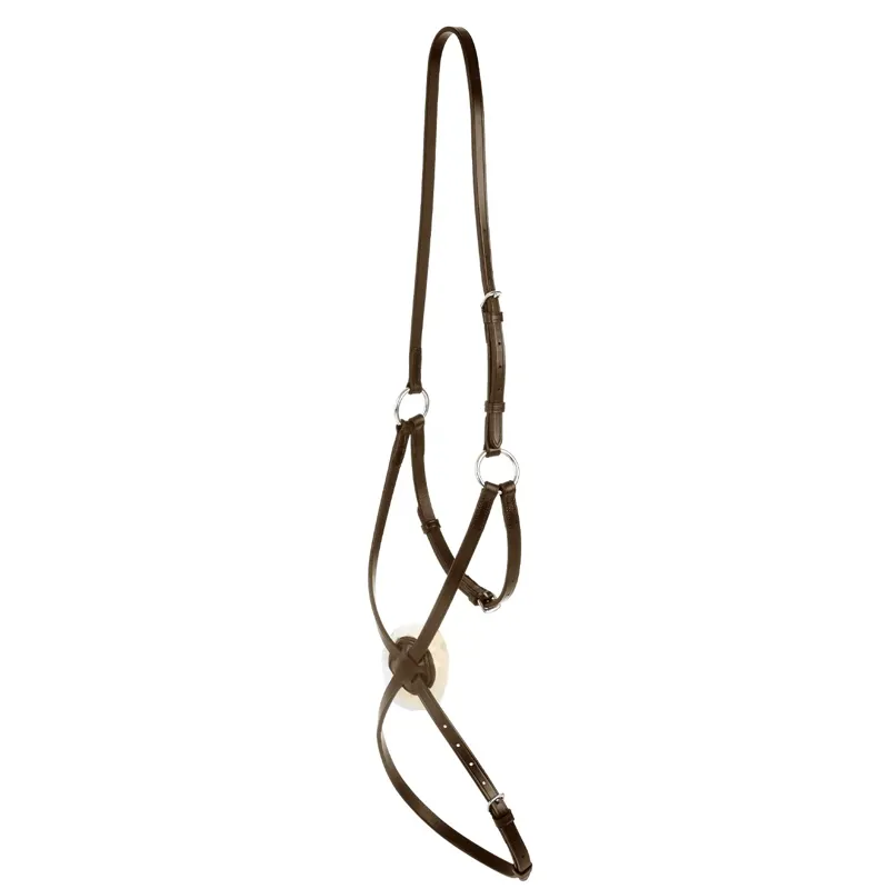 Collegiate IV Grackle Noseband - Brown