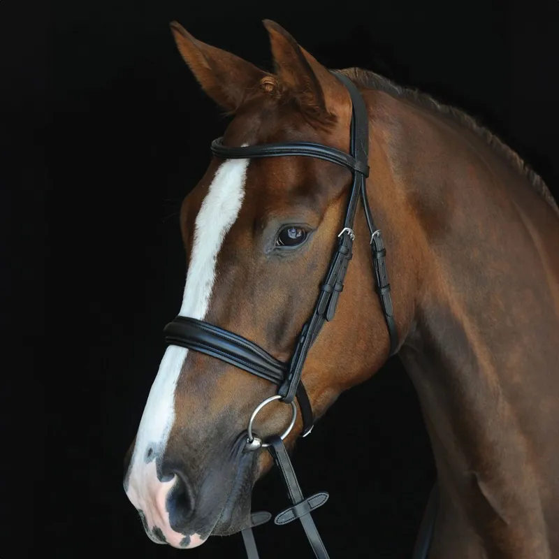 Collegiate Mono Crown Padded Raised Cavesson Bridle with Reins - Black