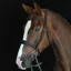 Collegiate Mono Crown Padded Raised Cavesson Bridle with Reins - Black