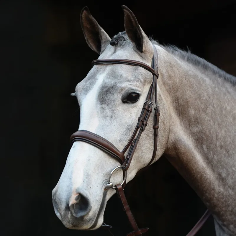 Collegiate Mono Crown Padded Raised Cavesson Bridle with Reins - Brown