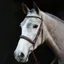 Collegiate Mono Crown Padded Raised Cavesson Bridle with Reins - Brown