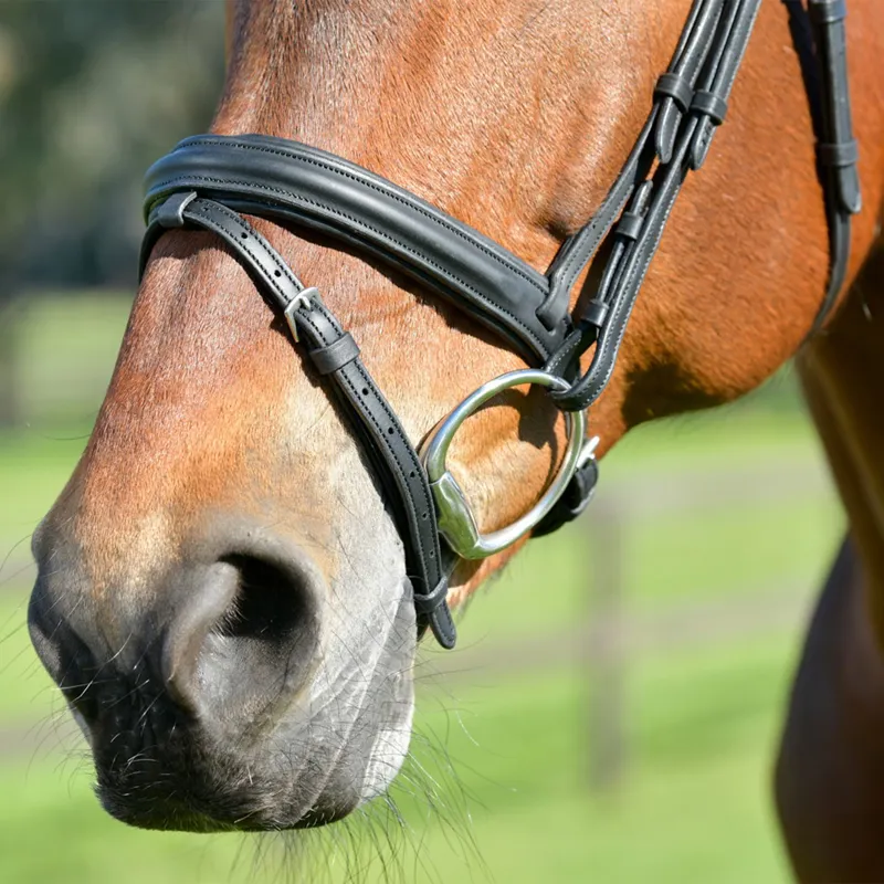 Collegiate ComFiTec Opulux Padded Hanoverian Flash Bridle - Black-4