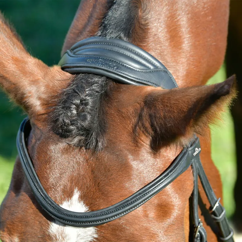 Collegiate ComFiTec Opulux Padded Hanoverian Flash Bridle - Black-3