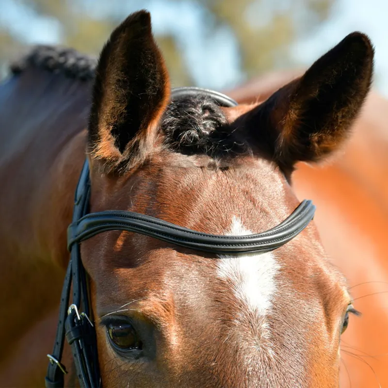 Collegiate ComFiTec Opulux Padded Hanoverian Flash Bridle - Black-1