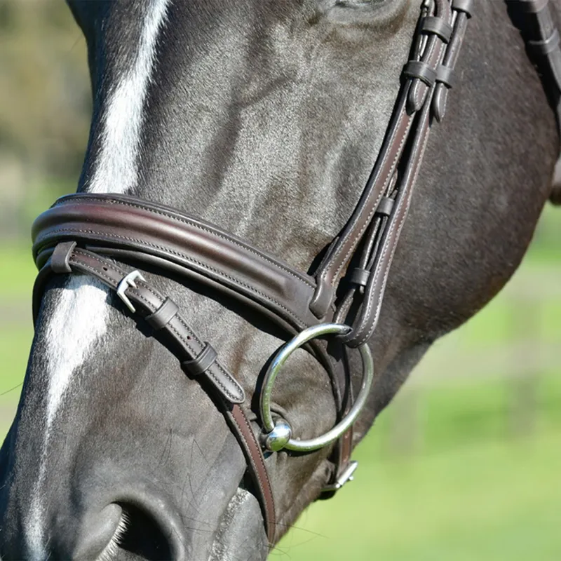 Collegiate ComFiTec Opulux Padded Hanoverian Flash Bridle - Brown-7
