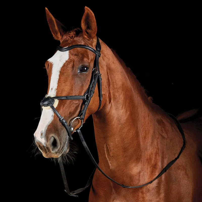 Collegiate ComFiTec Opulux Leather Figure 8 Bridle - Black-5