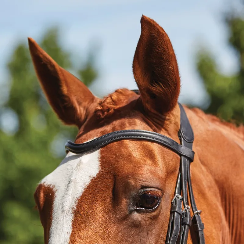 Collegiate ComFiTec Opulux Leather Figure 8 Bridle - Black-4