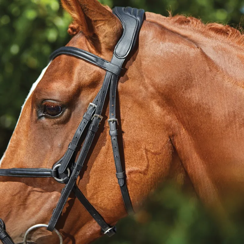 Collegiate ComFiTec Opulux Leather Figure 8 Bridle - Black-3
