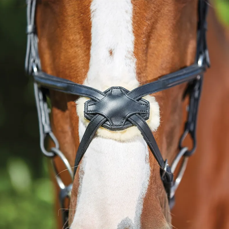 Collegiate ComFiTec Opulux Leather Figure 8 Bridle - Black-2