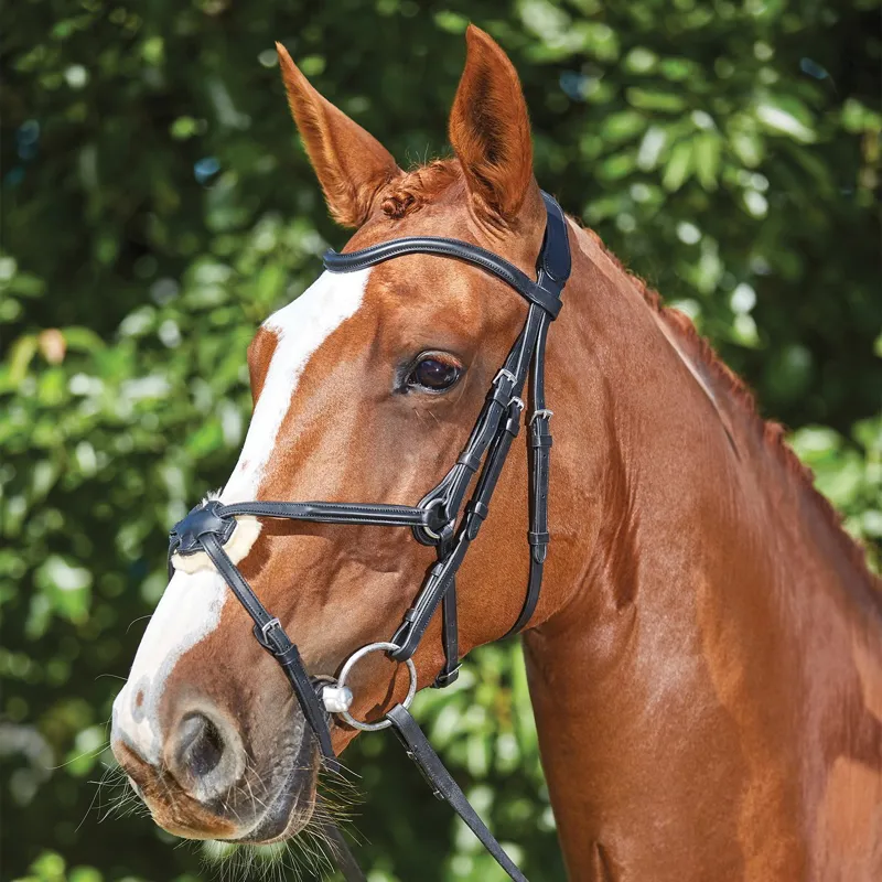 Collegiate ComFiTec Opulux Leather Figure 8 Bridle - Black-1