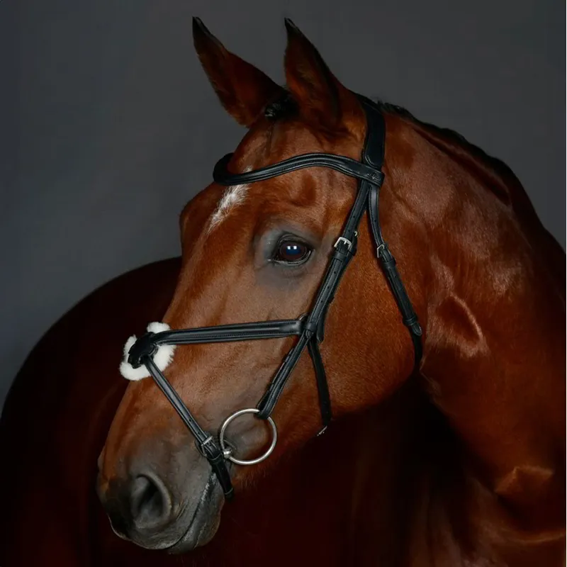 Collegiate ComFiTec Opulux Leather Figure 8 Bridle - Black