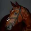 Collegiate ComFiTec Opulux Leather Figure 8 Bridle - Black