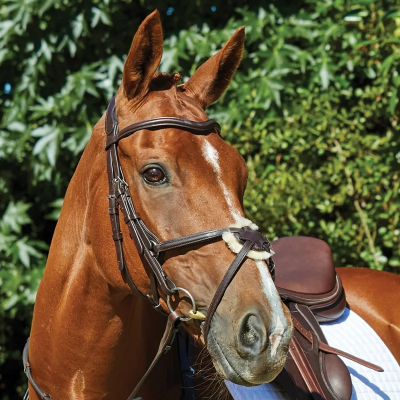 Collegiate ComFiTec Opulux Leather Grackle Bridle - Brown-3