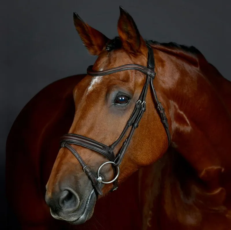 Collegiate ComFiTec Opulux Padded Hanoverian Flash Bridle - Brown