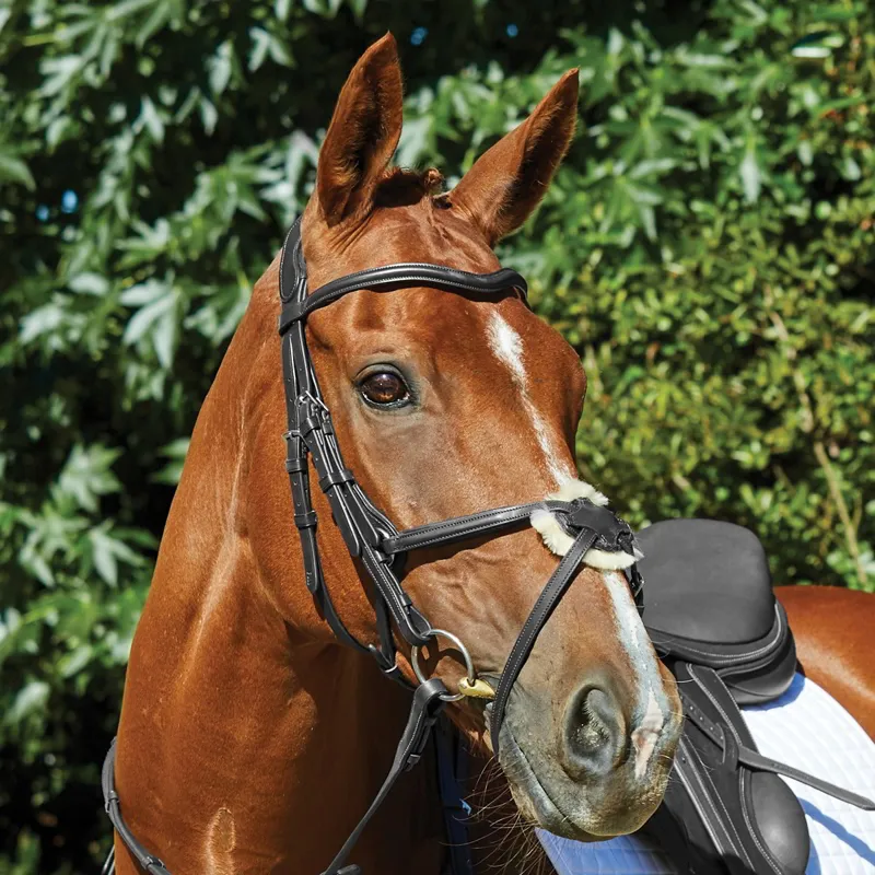 Collegiate ComFiTec Grackle Bridle - Black-1