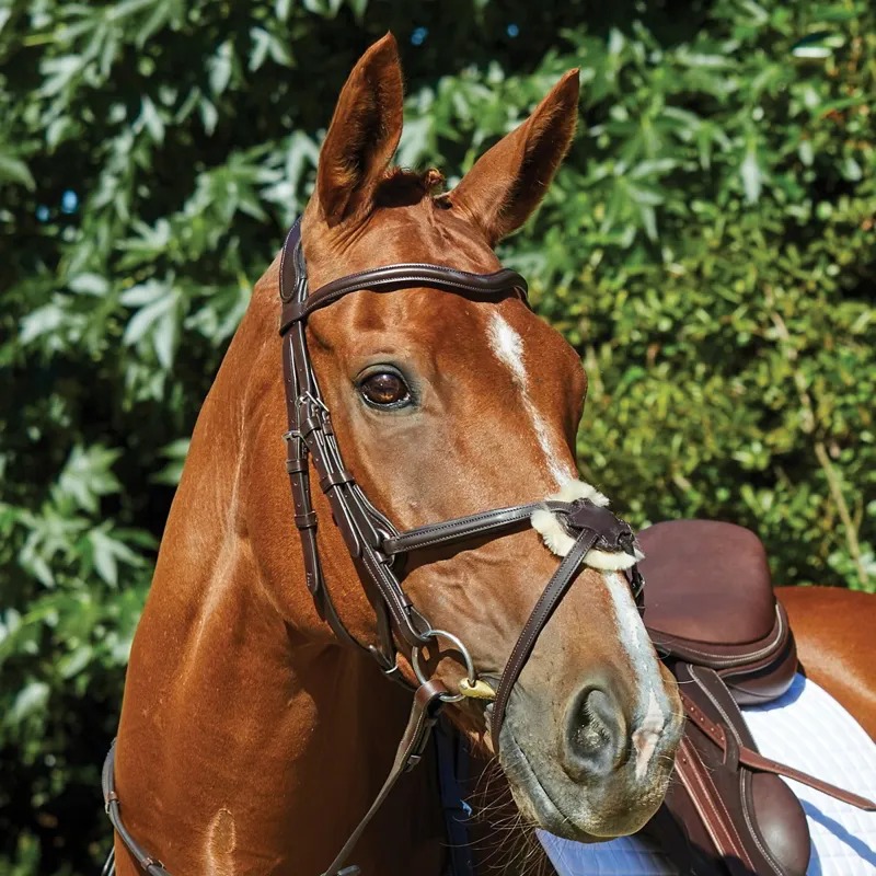 Collegiate ComFiTec Grackle Bridle - Brown