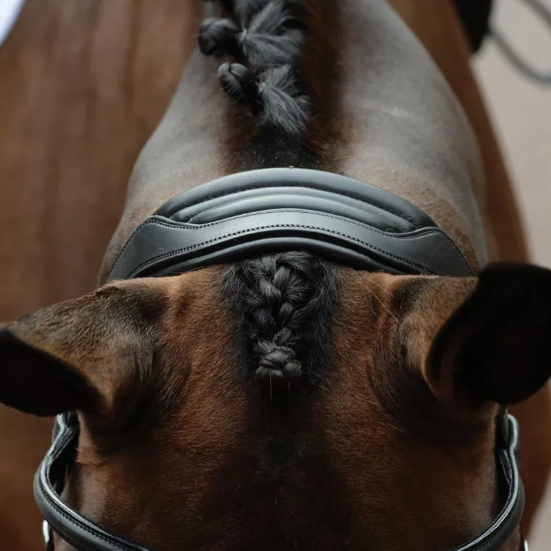 Collegiate ComFiTec Vogue Anatomical Bridle - Black-3