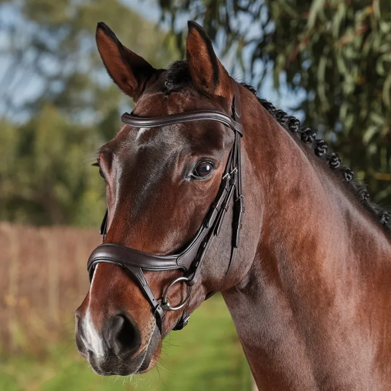 Collegiate ComFiTec Vogue Anatomical Bridle - Brown-1