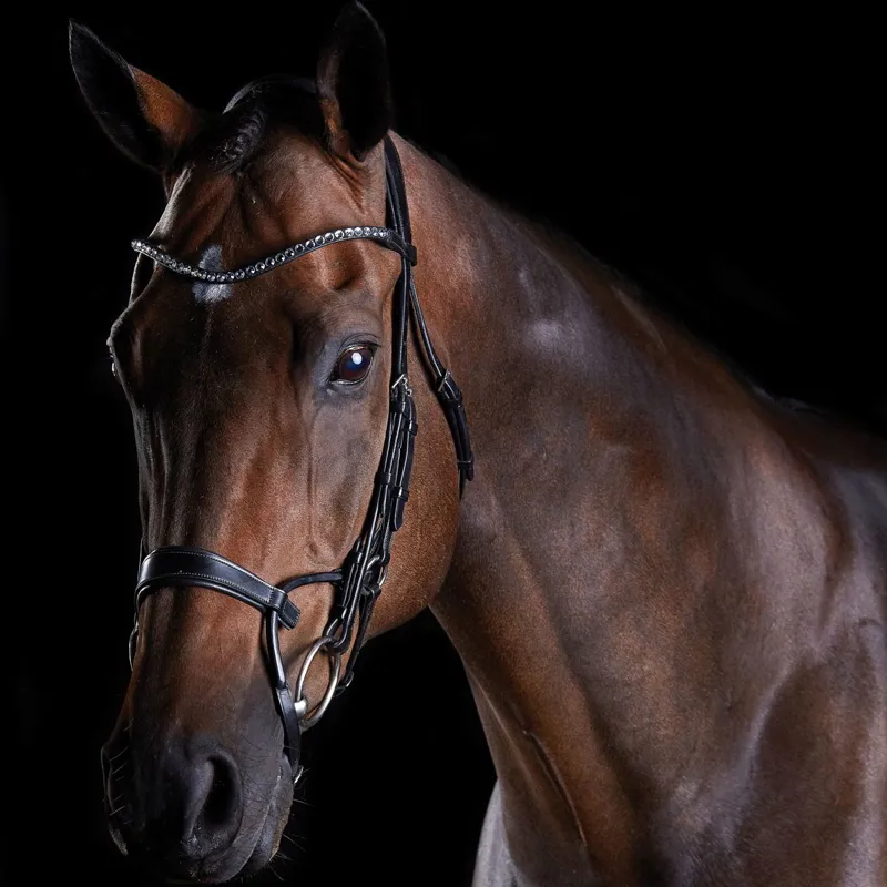 Collegiate ComFiTec Crystal Bridle - Black-1