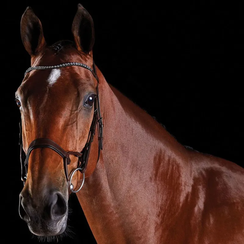 Collegiate ComFiTec Crystal Bridle - Brown-1