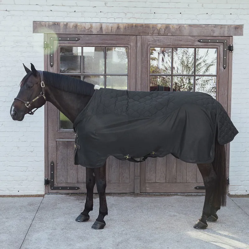 Kentucky Cooler Combo Sheet - Black