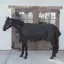 Kentucky Cooler Combo Sheet - Black