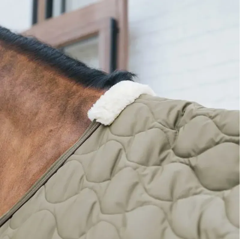 Kentucky Cooler Combo - Pine Green-4
